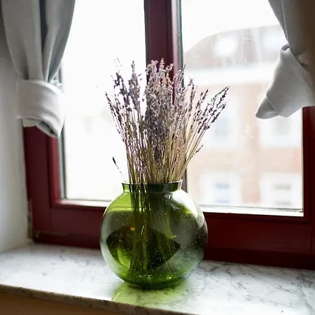 Edler Wohnraum Noble Stadtoase Mit Boxspringbett, Kaffeevollautomat&parkplatz * Zwickau